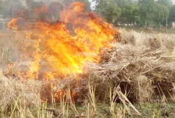 秸稈燃燒 秸稈燃燒