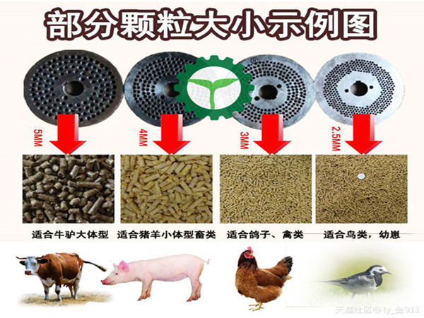 飼料平模 飼料平模