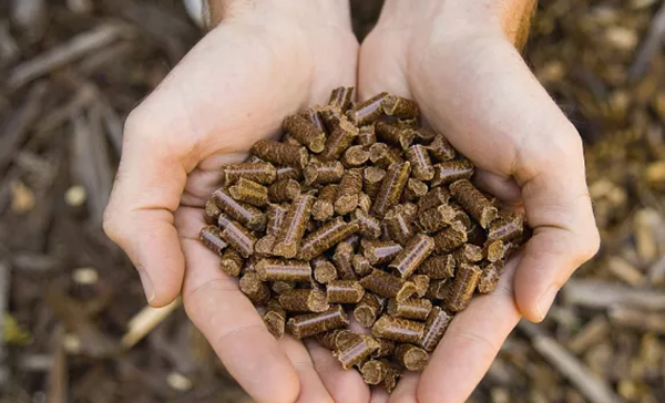 生物質(zhì)顆粒